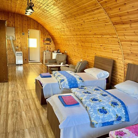 Guest House Amo Kutaisi Esterno foto